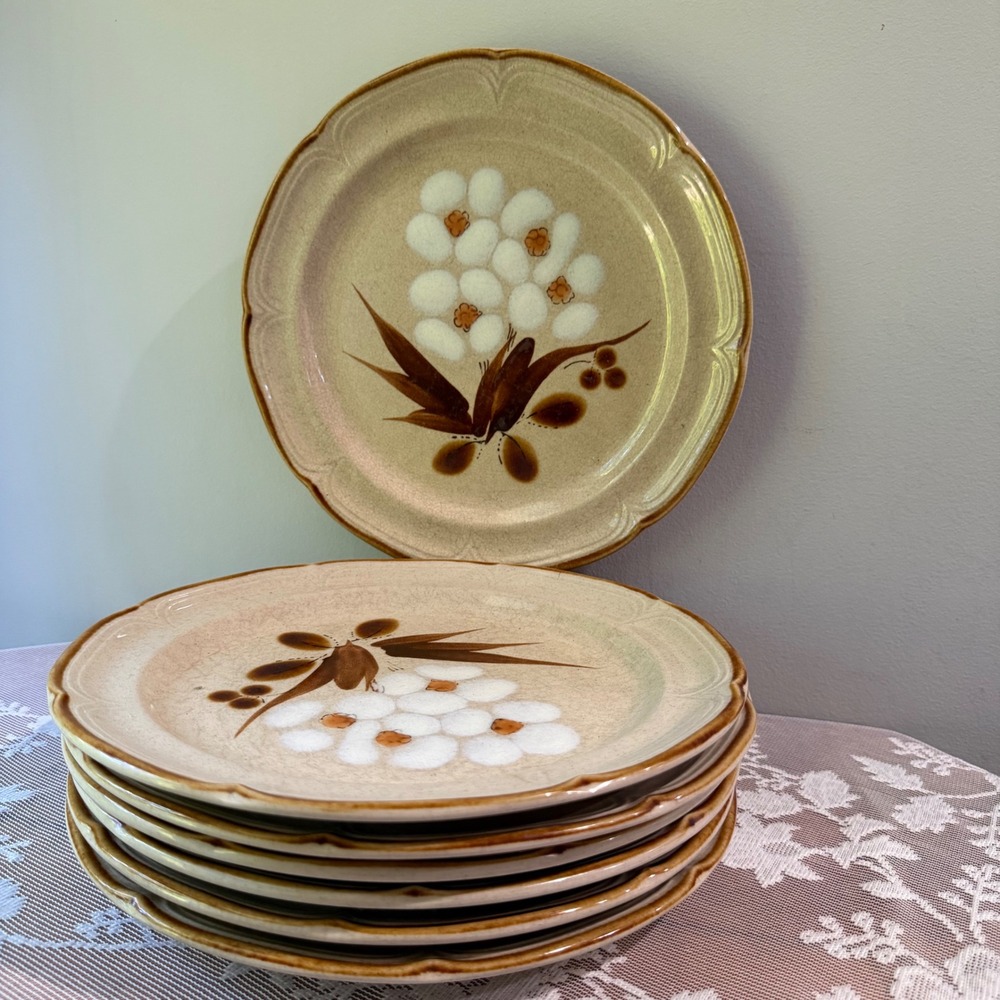 Hearthside Castlewood Dinner Plates Set of 6 Tan Brown Floral Stoneware Japan
